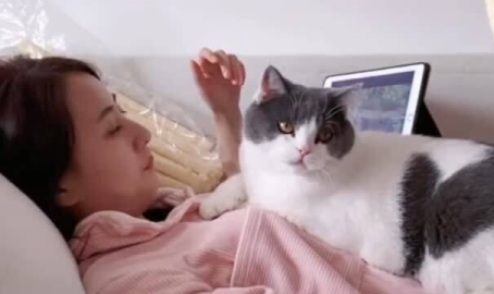 小姐姐喂养猫,小姐姐的温馨喂养日常