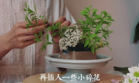 小姐姐做鲜花,小姐姐的鲜花艺术之旅