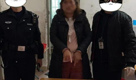 张警察吃瓜网,揭秘吃瓜网背后的故事