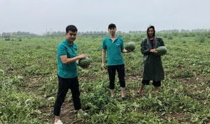 潮阳群众吃瓜网最新消息,揭秘潮阳最新热点事件,一网打尽!